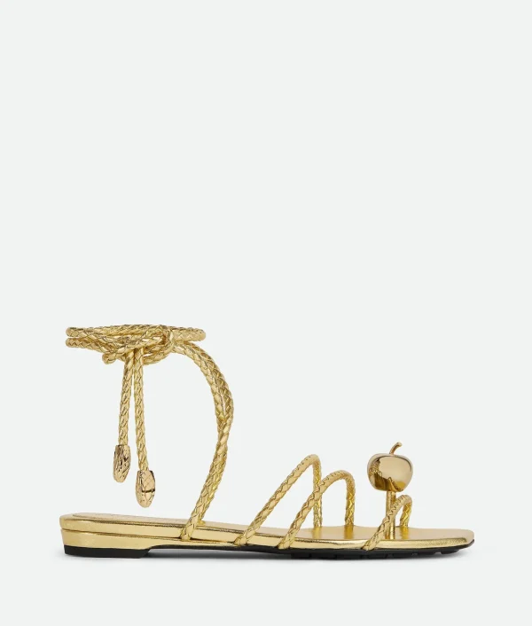 Bottega Veneta Adam Flat Sandal>Women Flats | Sandals