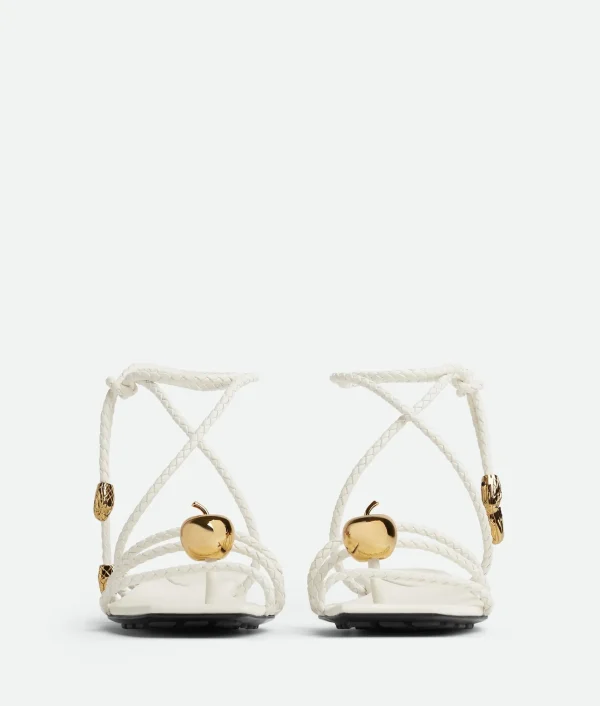 Bottega Veneta Adam Flat Sandal>Women Flats