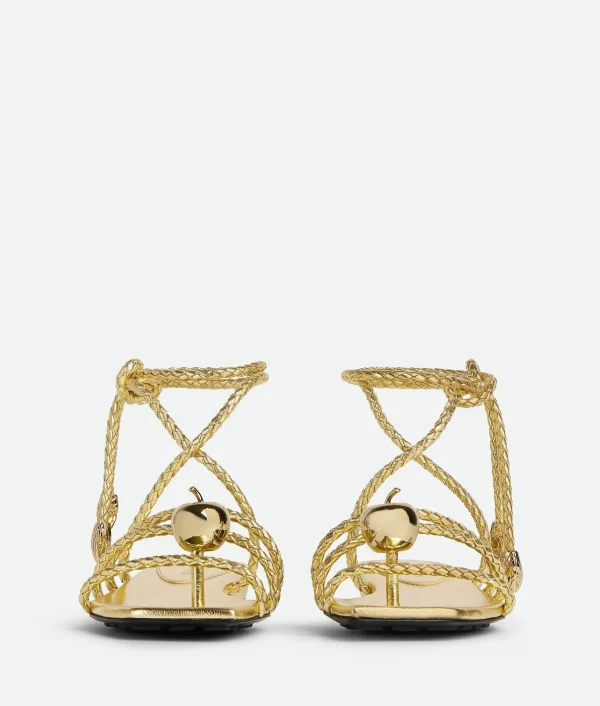 Bottega Veneta Adam Flat Sandal>Women Flats | Sandals