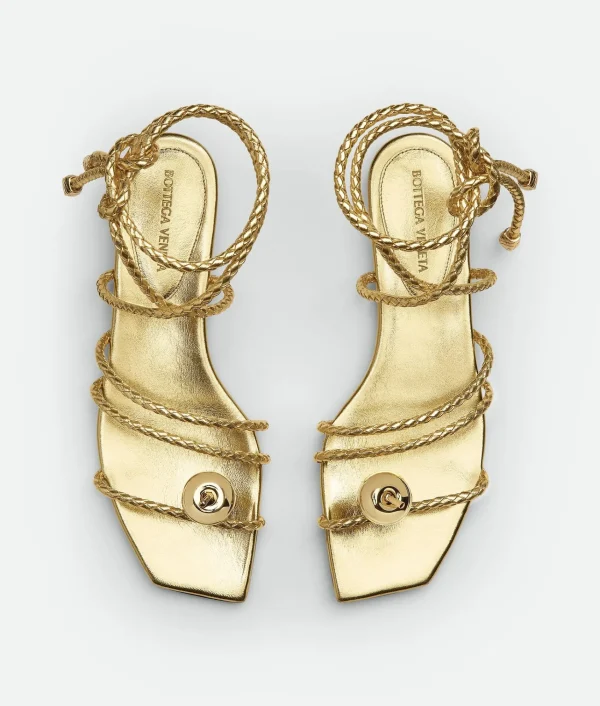 Bottega Veneta Adam Flat Sandal>Women Flats | Sandals