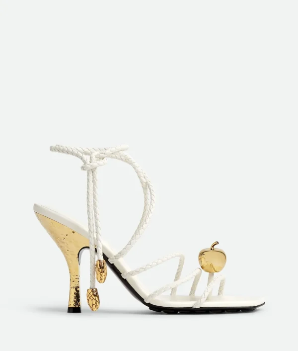 Bottega Veneta Adam Sandal>Women Sandals