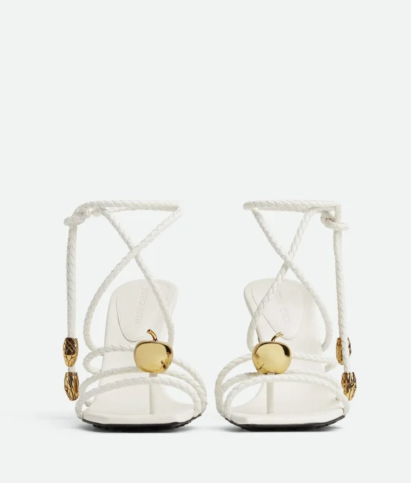Bottega Veneta Adam Sandal>Women Sandals