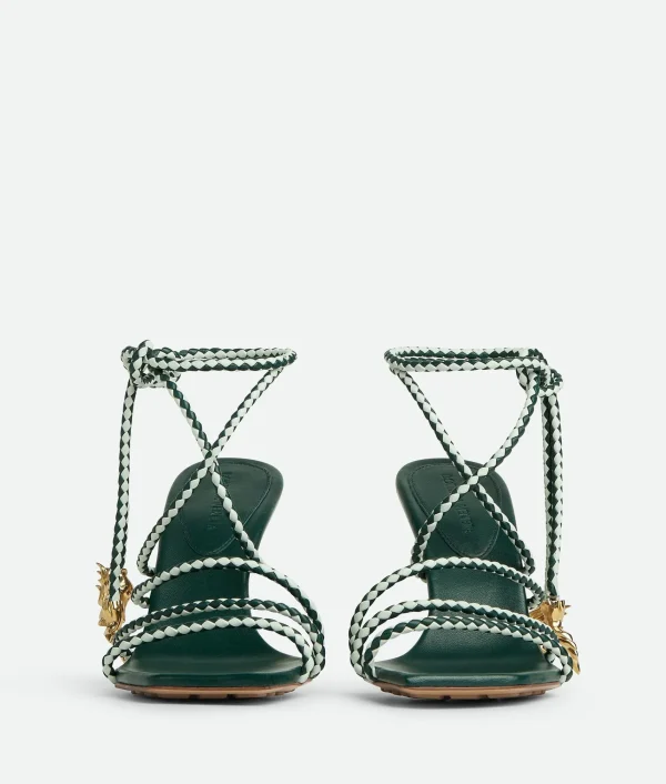 Bottega Veneta Adam Sandal>Women Sandals