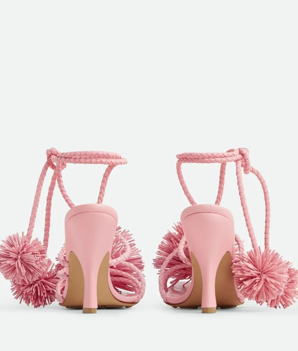 Bottega Veneta Adam Sandal>Women Sandals