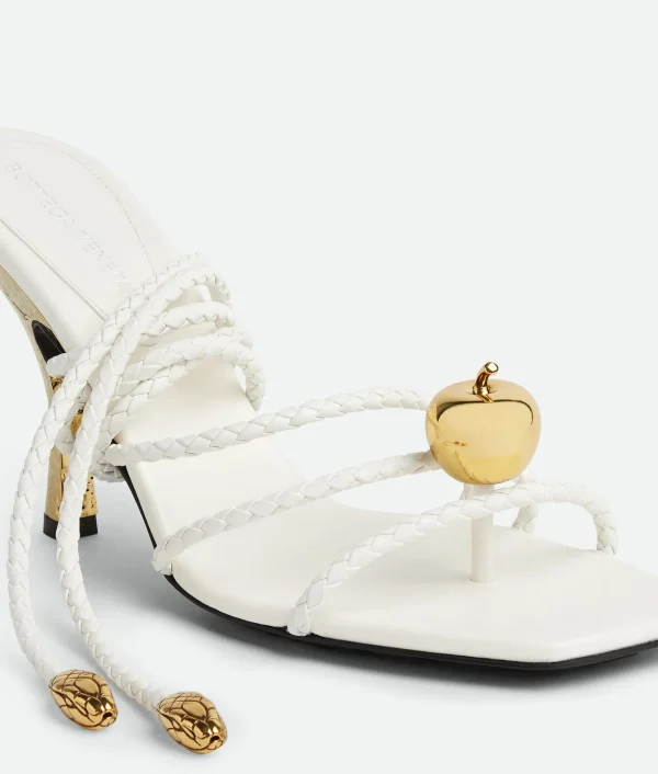 Bottega Veneta Adam Sandal>Women Sandals