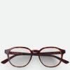 Bottega Veneta Classic Panthos Eyeglasses>Women Opticals | Opticals