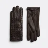 Bottega Veneta Intrecciato Leather Gloves>Women Gloves