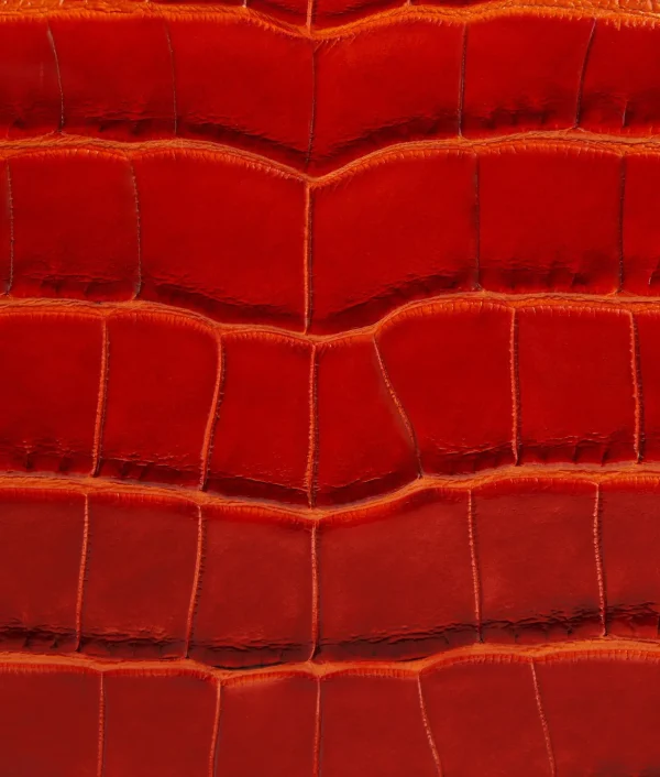 Bottega Veneta Knot>Women Clutch