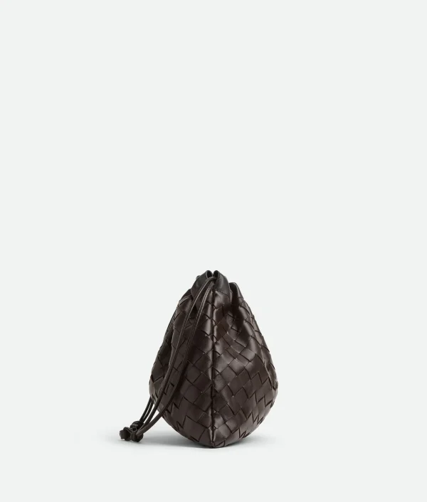 Bottega Veneta Medium Dustbag>Women Pouches | Mini