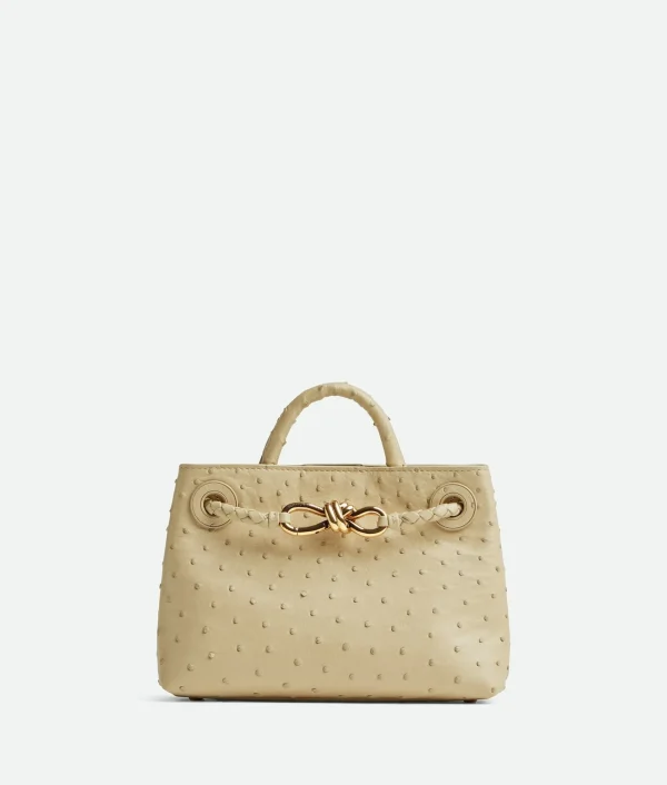 Bottega Veneta Mini Andiamo>Women Handle | Crossbody