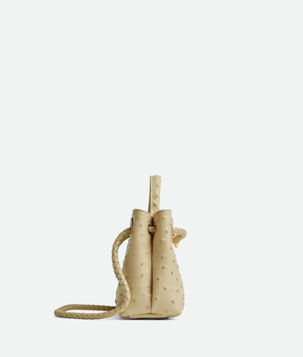 Bottega Veneta Mini Andiamo>Women Handle | Crossbody