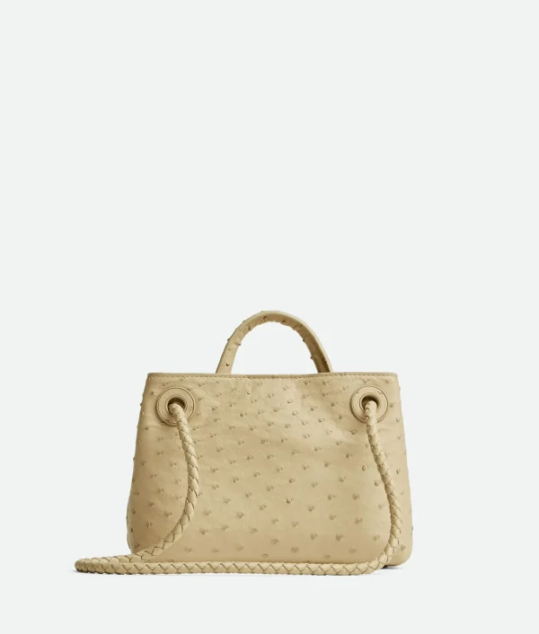 Bottega Veneta Mini Andiamo>Women Handle | Crossbody