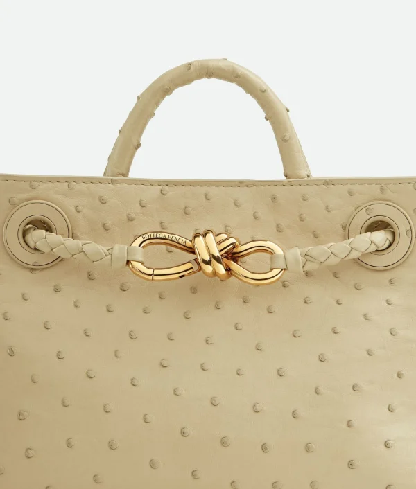 Bottega Veneta Mini Andiamo>Women Handle | Crossbody