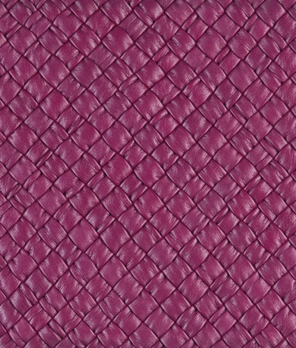 Bottega Veneta Mini Tosca>Women Mini