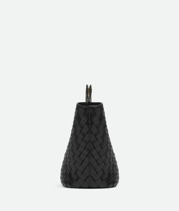 Bottega Veneta Picnic>Women Shopper