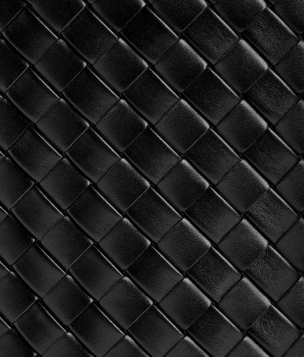 Bottega Veneta Picnic>Women Shopper