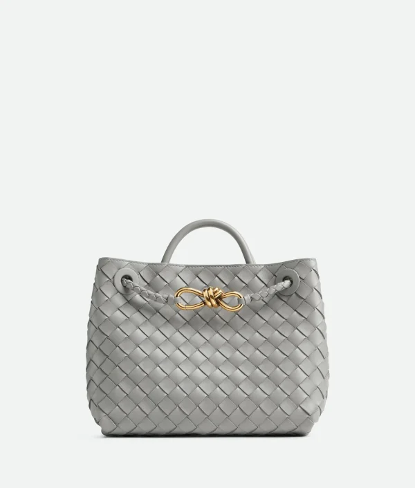 Bottega Veneta Small Andiamo>Women Handle | Crossbody