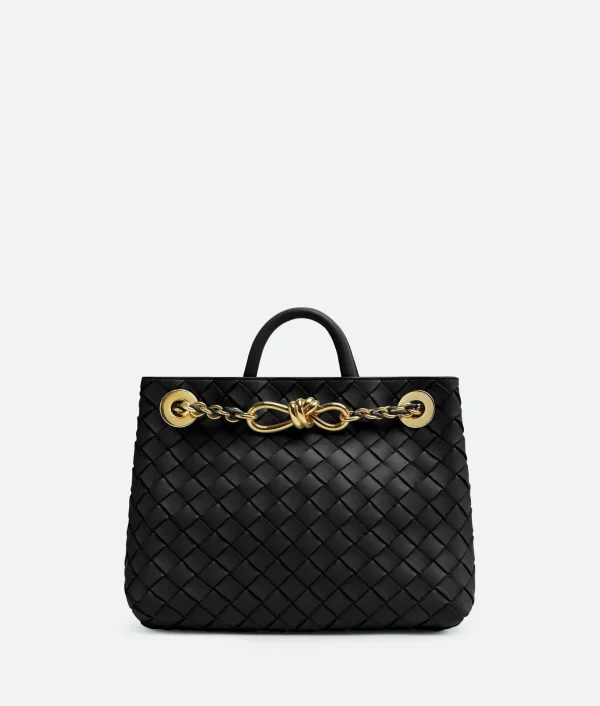 Bottega Veneta Small Andiamo With Chain>Women Handle